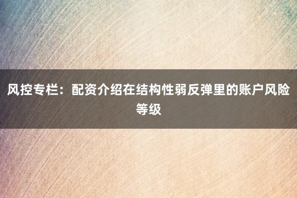 风控专栏：配资介绍在结构性弱反弹里的账户风险等级