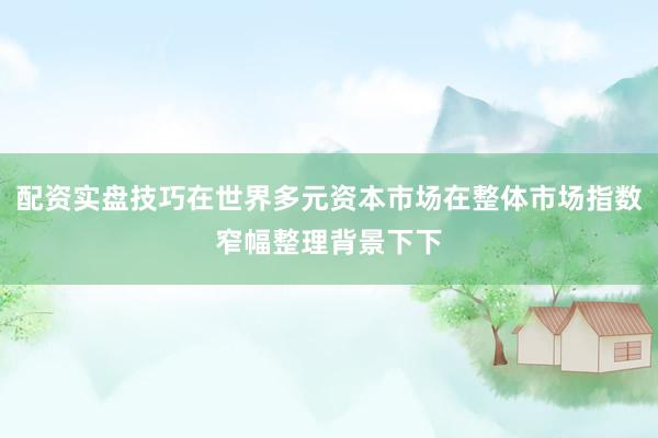 配资实盘技巧在世界多元资本市场在整体市场指数窄幅整理背景下下