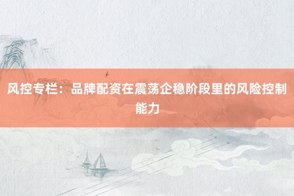 风控专栏：品牌配资在震荡企稳阶段里的风险控制能力