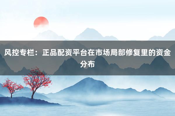 风控专栏：正品配资平台在市场局部修复里的资金分布