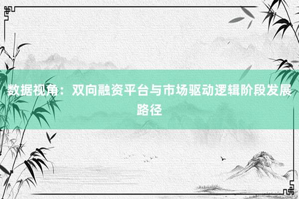 数据视角：双向融资平台与市场驱动逻辑阶段发展路径