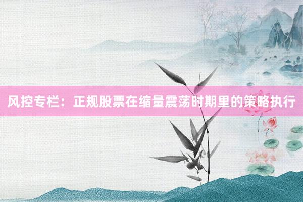 风控专栏:正规股票在缩量震荡时期里的策略执行
