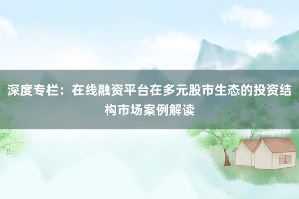 深度专栏：在线融资平台在多元股市生态的投资结构市场案例解读