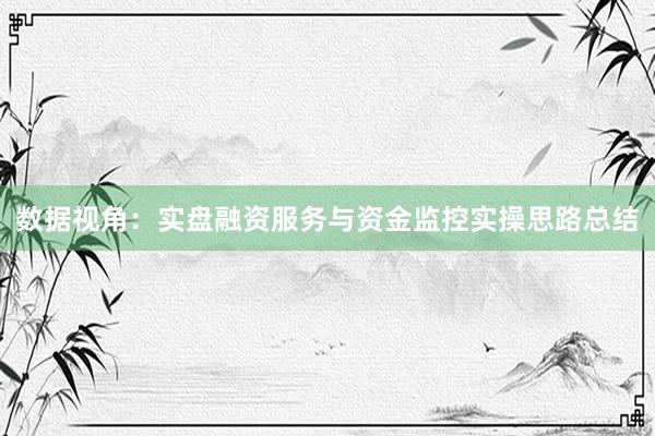 数据视角：实盘融资服务与资金监控实操思路总结