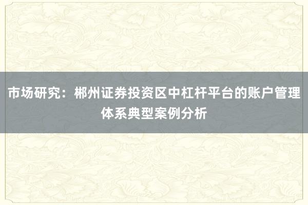 市场研究：郴州证券投资区中杠杆平台的账户管理体系典型案例分析