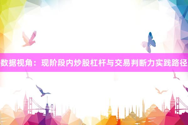 数据视角：现阶段内炒股杠杆与交易判断力实践路径