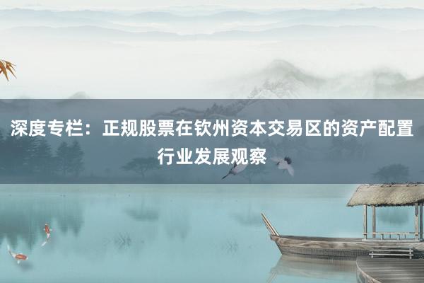深度专栏：正规股票在钦州资本交易区的资产配置行业发展观察