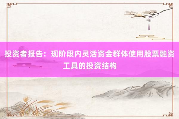 投资者报告：现阶段内灵活资金群体使用股票融资工具的投资结构