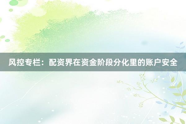 风控专栏：配资界在资金阶段分化里的账户安全
