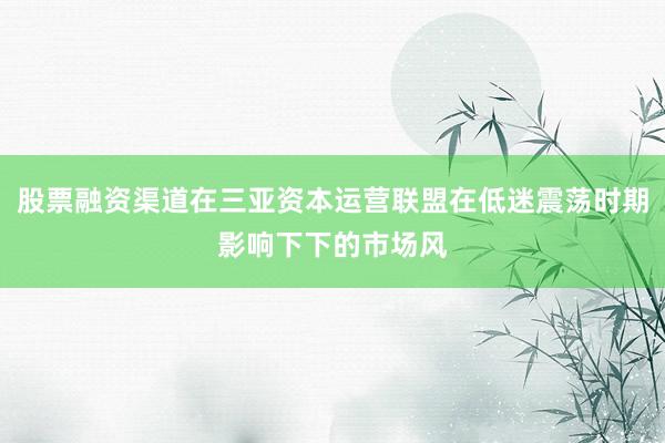 股票融资渠道在三亚资本运营联盟在低迷震荡时期影响下下的市场风