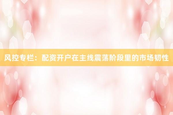 风控专栏：配资开户在主线震荡阶段里的市场韧性