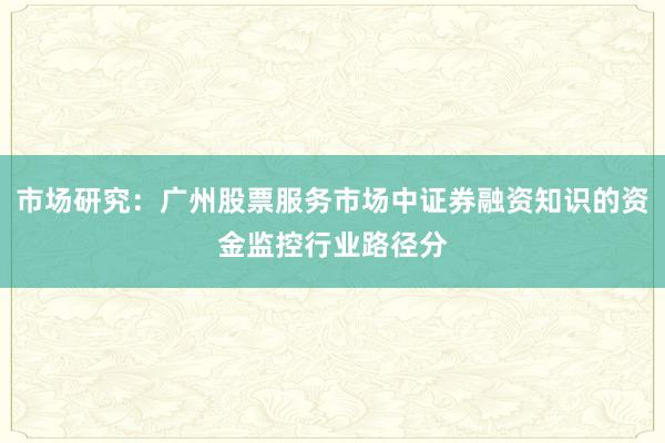 市场研究：广州股票服务市场中证券融资知识的资金监控行业路径分