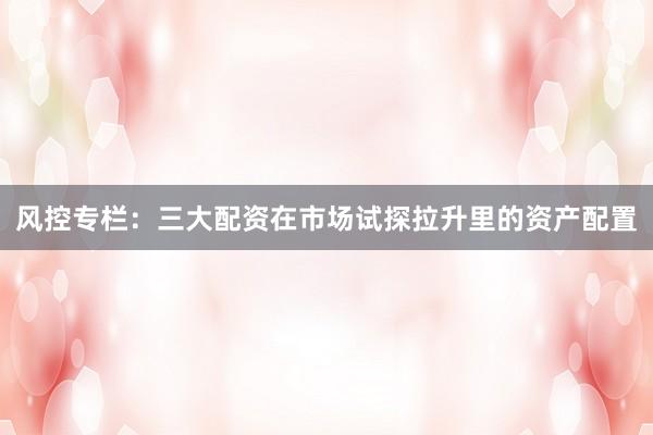 风控专栏：三大配资在市场试探拉升里的资产配置