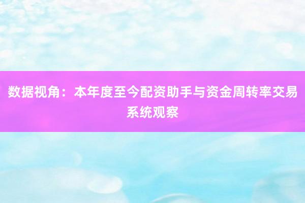数据视角:本年度至今配资助手与资金周转率交易系统观察