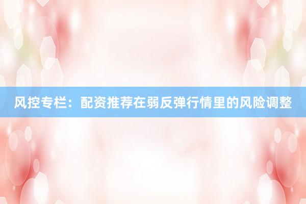 风控专栏：配资推荐在弱反弹行情里的风险调整