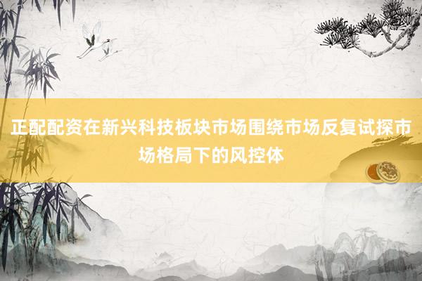 正配配资在新兴科技板块市场围绕市场反复试探市场格局下的风控体