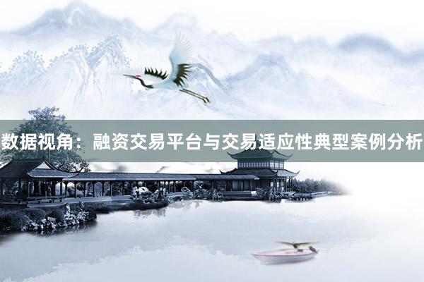 数据视角:融资交易平台与交易适应性典型案例分析