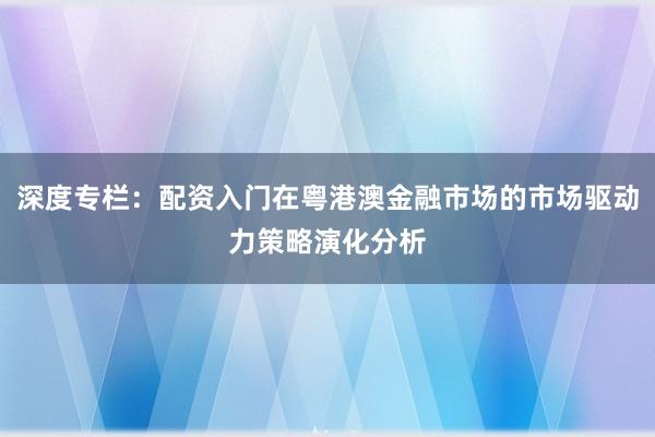 深度专栏：配资入门在粤港澳金融市场的市场驱动力策略演化分析
