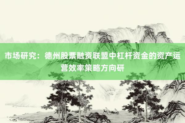 市场研究:德州股票融资联盟中杠杆资金的资产运营效率策略方向研