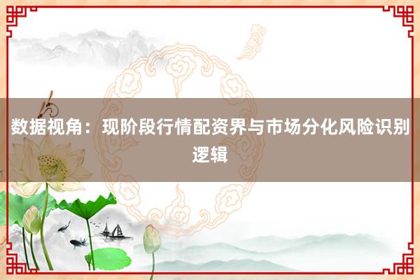 数据视角：现阶段行情配资界与市场分化风险识别逻辑