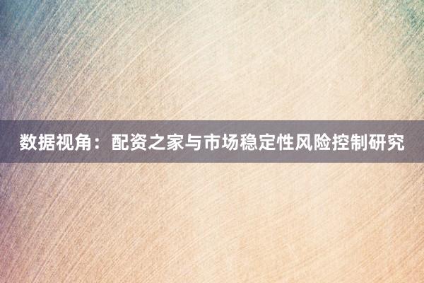 数据视角：配资之家与市场稳定性风险控制研究