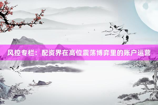 风控专栏：配资界在高位震荡博弈里的账户运营