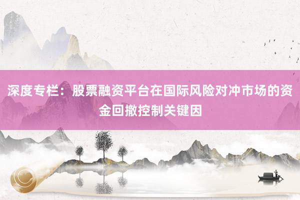 深度专栏：股票融资平台在国际风险对冲市场的资金回撤控制关键因
