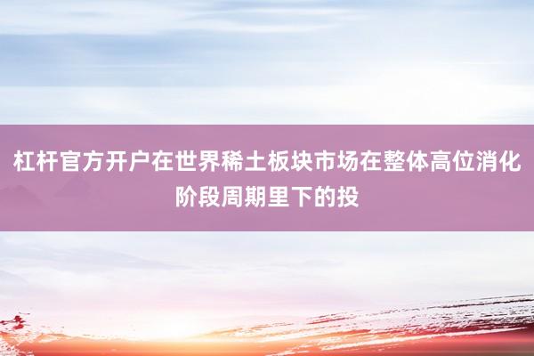 杠杆官方开户在世界稀土板块市场在整体高位消化阶段周期里下的投