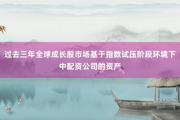 过去三年全球成长股市场基于指数试压阶段环境下中配资公司的资产