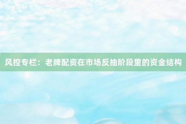 风控专栏：老牌配资在市场反抽阶段里的资金结构