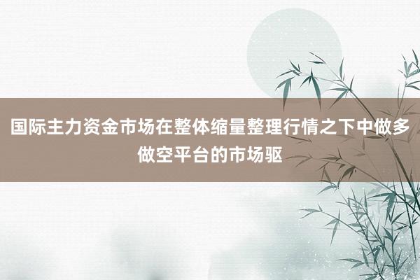 国际主力资金市场在整体缩量整理行情之下中做多做空平台的市场驱