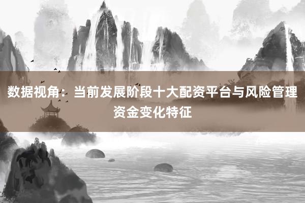 数据视角：当前发展阶段十大配资平台与风险管理资金变化特征