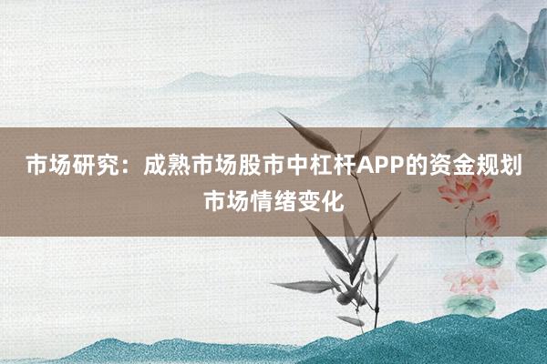 市场研究：成熟市场股市中杠杆APP的资金规划市场情绪变化