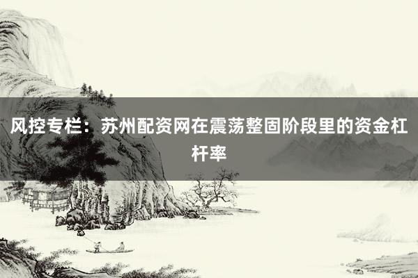 风控专栏:苏州配资网在震荡整固阶段里的资金杠杆率