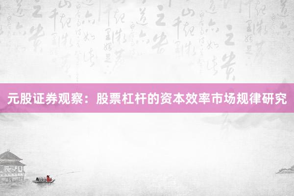 元股证券观察:股票杠杆的资本效率市场规律研究