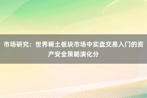 市场研究：世界稀土板块市场中实盘交易入门的资产安全策略演化分