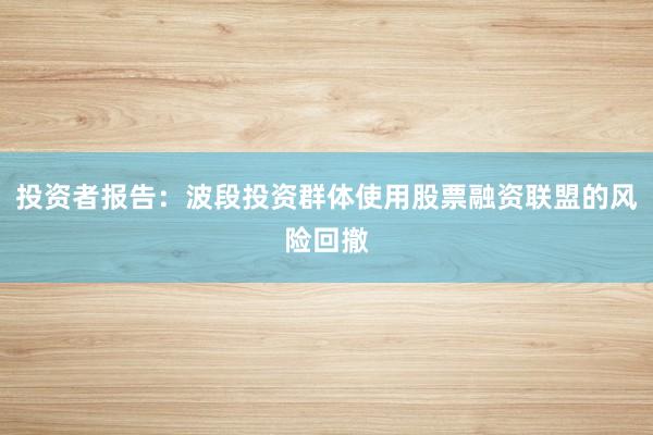 投资者报告：波段投资群体使用股票融资联盟的风险回撤