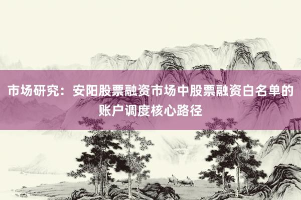市场研究：安阳股票融资市场中股票融资白名单的账户调度核心路径