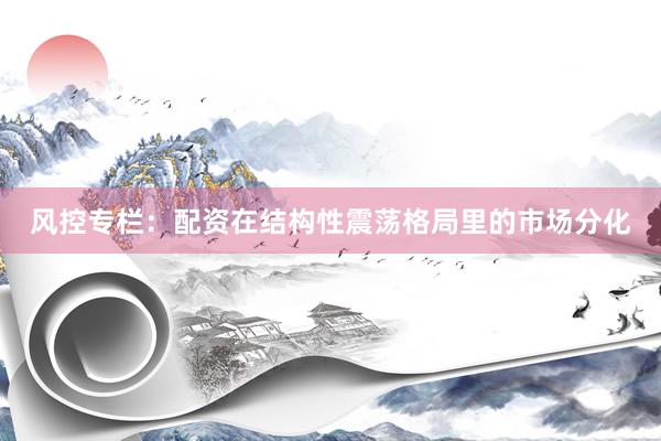 风控专栏：配资在结构性震荡格局里的市场分化