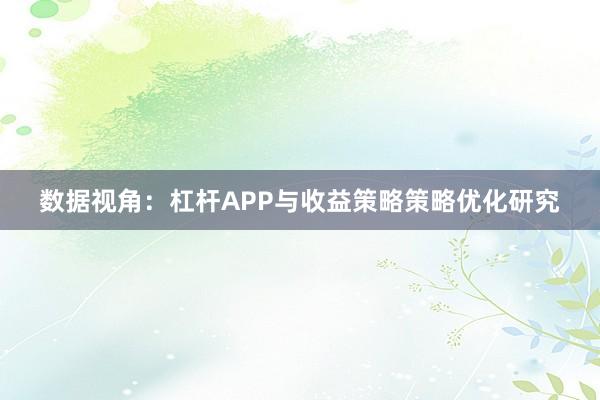 数据视角：杠杆APP与收益策略策略优化研究