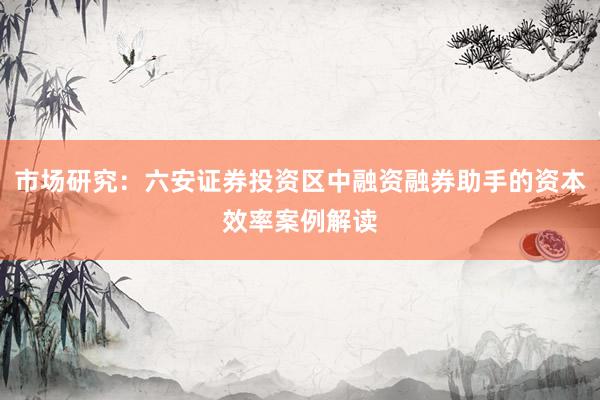 市场研究:六安证券投资区中融资融券助手的资本效率案例解读