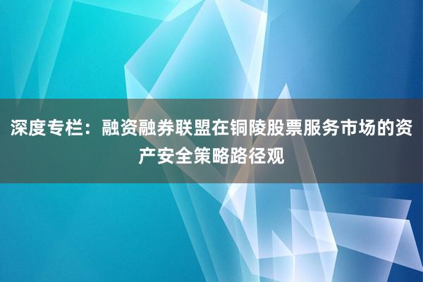深度专栏:融资融券联盟在铜陵股票服务市场的资产安全策略路径观