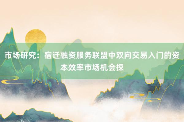 市场研究：宿迁融资服务联盟中双向交易入门的资本效率市场机会探