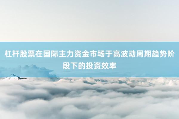 杠杆股票在国际主力资金市场于高波动周期趋势阶段下的投资效率