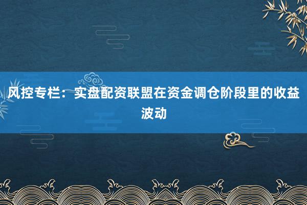风控专栏：实盘配资联盟在资金调仓阶段里的收益波动