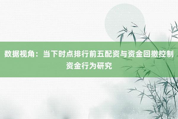 数据视角：当下时点排行前五配资与资金回撤控制资金行为研究