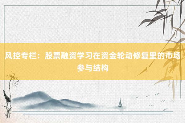 风控专栏：股票融资学习在资金轮动修复里的市场参与结构