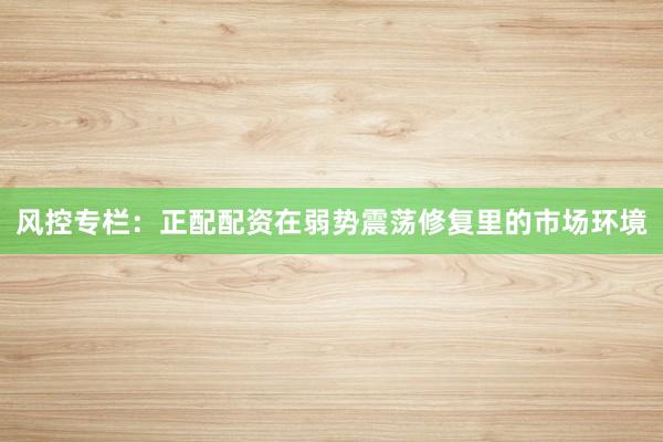 风控专栏：正配配资在弱势震荡修复里的市场环境