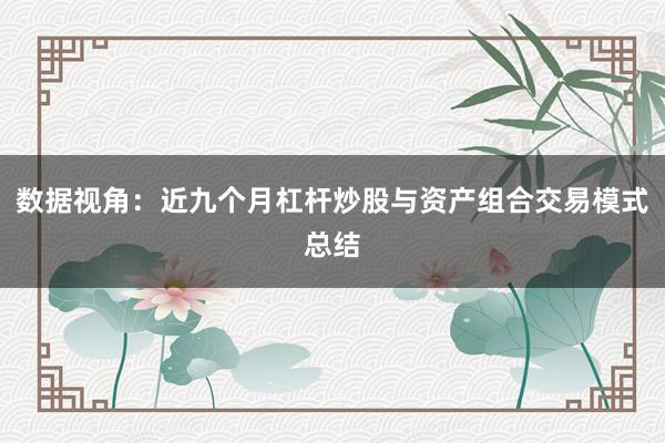 数据视角：近九个月杠杆炒股与资产组合交易模式总结