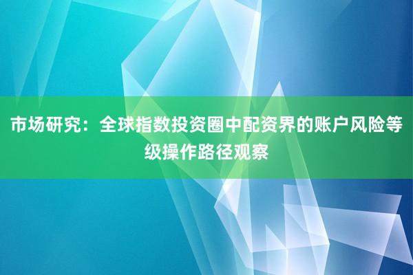 市场研究：全球指数投资圈中配资界的账户风险等级操作路径观察